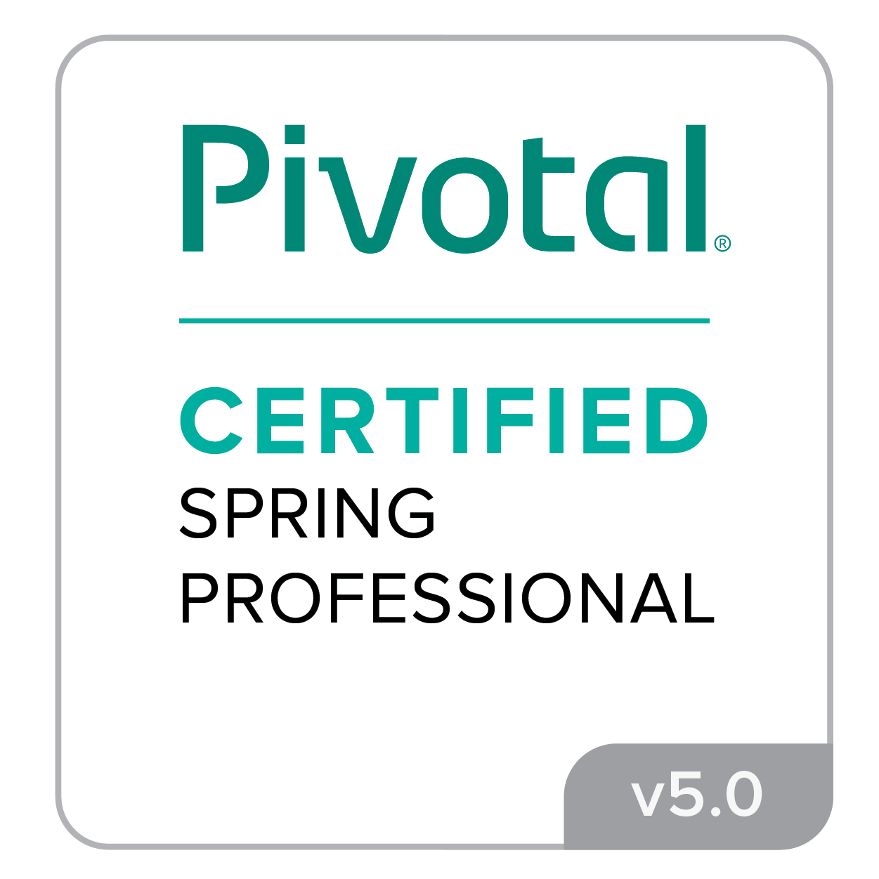 Image Certification Spring Professional V5.0